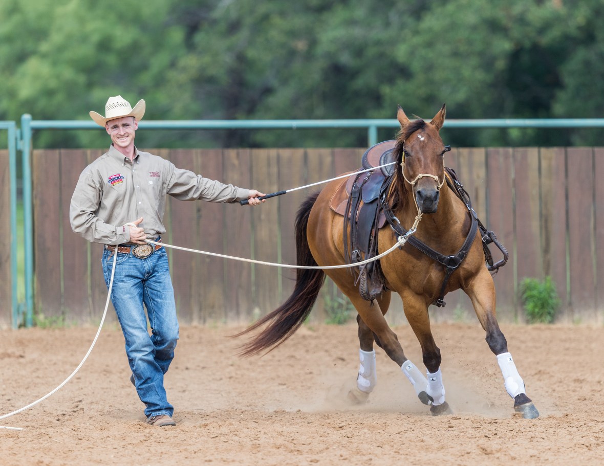 besthorsetrainernorthcarolina